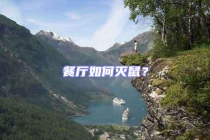 餐厅如何灭鼠？