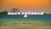 除虫公司,专业灭虫害效果好