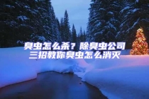 臭虫怎么杀？除臭虫公司三招教你臭虫怎么消灭