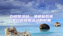 白蚁防治站:清明前后将是白蚁频繁活动的时期