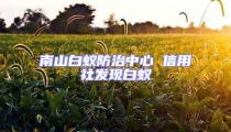 南山白蚁防治中心 信用社发现白蚁