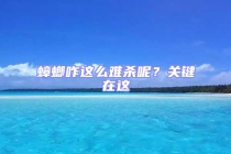 蟑螂咋这么难杀呢？关键在这