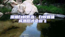 深圳白蚁防治:白蚁群体成熟后才会纷飞
