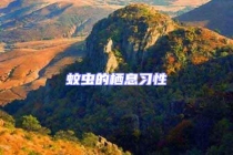蚊虫的栖息习性