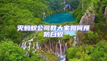 灭蚂蚁公司教大家如何预防白蚁