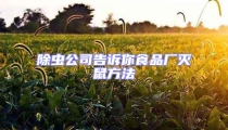 除虫公司告诉你食品厂灭鼠方法