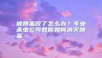 被跳蚤咬了怎么办?专业杀虫公司教你如何消灭跳蚤