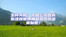 怎样灭鼠?灭鼠公司告诉你这样使用捕鼠器可以出奇制胜!