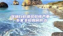 深圳白蚁增多蚁情严重 专家支招如何防治