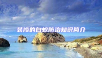 装修的白蚁防治知识简介