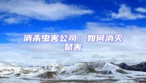 消杀虫害公司:如何消灭鼠害