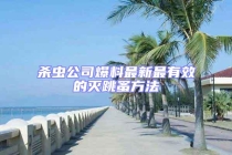 杀虫公司爆料最新最有效的灭跳蚤方法