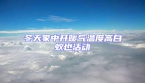 冬天家中开暖气温度高白蚁也活动