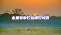 家里有孕妇如何灭蟑螂