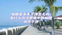 蟑螂老杀不干净怎么办,有什么办法把家中的蟑螂消灭干净