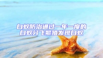 白蚁防治通过一年一度的白蚁分飞繁殖发现白蚁