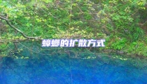 蟑螂的扩散方式