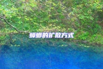 蟑螂的扩散方式