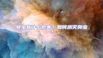 臭虫有什么危害?如何消灭臭虫?