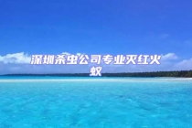 深圳杀虫公司专业灭红火蚁