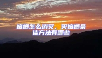 蟑螂怎么消灭,灭蟑螂最佳方法有哪些