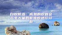 白蚁防治：成熟的蚁群会产生大量的繁殖蚁进行分群
