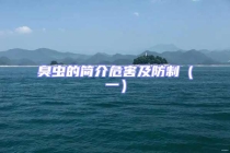 臭虫的简介危害及防制（一）