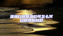 深圳白蚁防治公司怎么灭白蚁预防白蚁