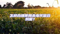怎样合理使用杀虫灭鼠药剂呢?