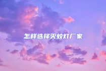 怎样选择灭蚊灯厂家