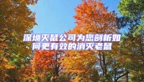 深圳灭鼠公司为您剖析如何更有效的消灭老鼠