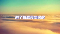 防了白蚁莫忘家蚁