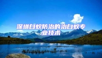 深圳白蚁防治的治白蚁专业技术