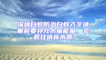 深圳白蚁防治白蚁入冬进巢前要补充大量能量,会疯狂啃食木质