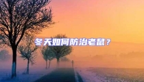 冬天如何防治老鼠?