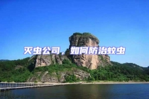 灭虫公司，如何防治蚊虫