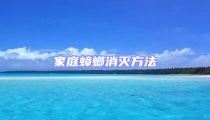 家庭蟑螂消灭方法