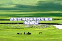 杀虫公司教你有效防治潮虫的困扰