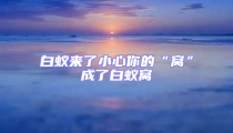 白蚁来了小心你的“窝”成了白蚁窝