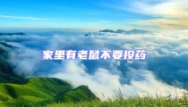 家里有老鼠不要投药