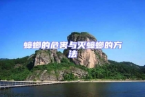 蟑螂的危害与灭蟑螂的方法