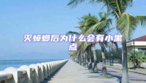 灭蟑螂后为什么会有小黑点