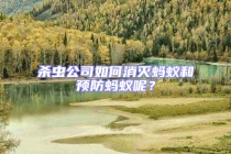 杀虫公司如何消灭蚂蚁和预防蚂蚁呢？