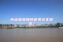 水培植物如何避免滋生蚊虫？