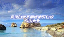 发现白蚁不用慌消灭白蚁方法大全