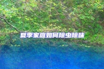 夏季家庭如何除虫除味