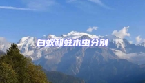 白蚁和蛀木虫分别