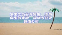 家里怎么会有臭虫,深圳臭虫的来源,深圳专业灭臭虫公司