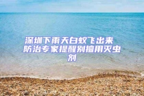 深圳下雨天白蚁飞出来 防治专家提醒别擅用灭虫剂