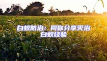 白蚁防治:同你分享灭治白蚁经验